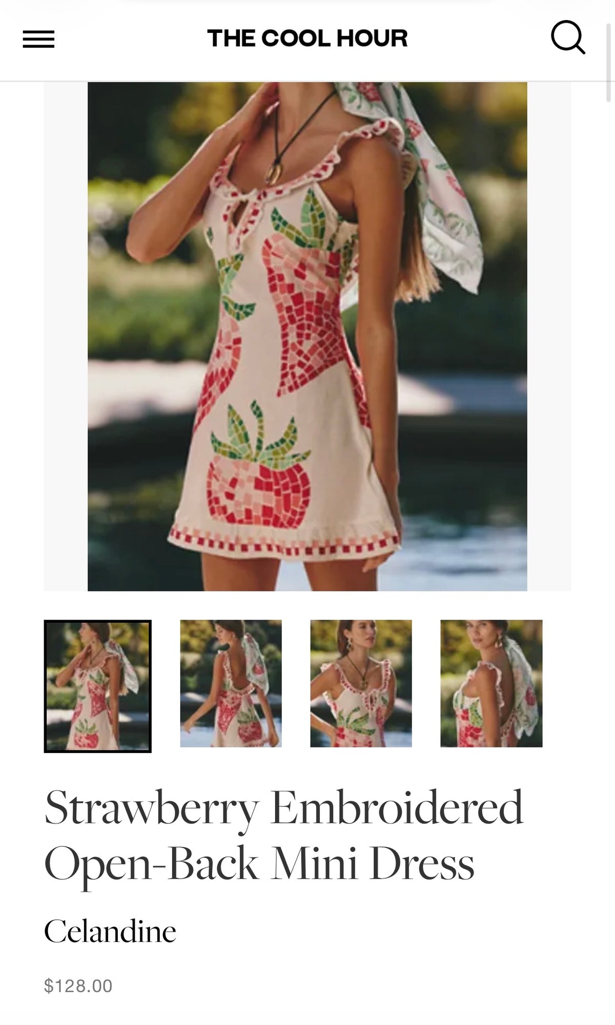 Celandine Strawberry Embroidered Open-Back Mini Dress (Surplus - New)